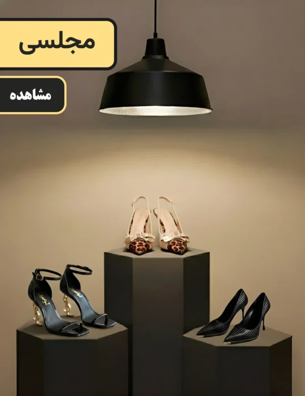 دسته بندی مجلسی (1)